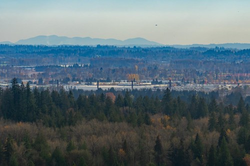 3126 Silverthrone Drive  Coquitlam, BC V3E 3B1