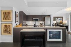 405-522 8th Avenue W Vancouver, BC V5Z 0A9