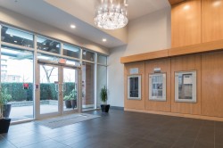 207-9868 Cameron Street  Burnaby, BC V3J 0A5