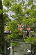 848 68th Avenue W Vancouver, BC V6P 2V2