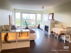 316-3082 Dayanee Spring Boulevard  Coquitlam, BC V3E 0A3