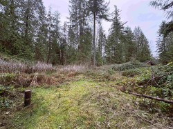 LOT 4 Strahan Road  Gambier Island, BC V0N 1V0