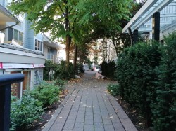 12-7128 Stride Avenue  Burnaby, BC V3N 1T5