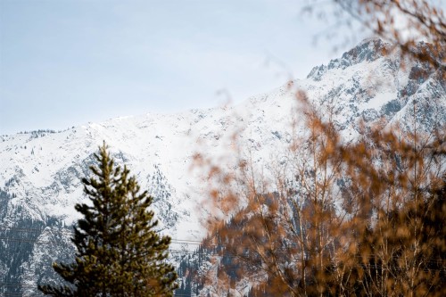 101-1490 Highway 99, Pemberton, BC 