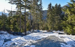 9325 Warbler Way  Whistler, BC V8E 1M1