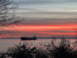 4035 Rose Crescent  West Vancouver, BC V7V 2N6