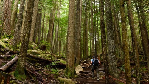 4731 Sea To Sky Highway, Squamish, BC 