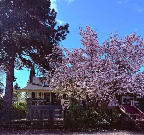 3044 Point Grey Road, Vancouver, BC 