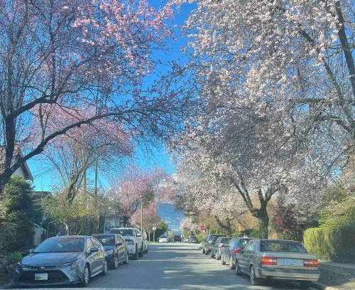 3044 Point Grey Road, Vancouver, BC 