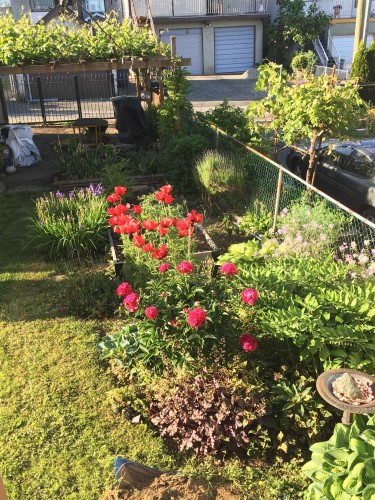 2867 Georgia Street E, Vancouver, BC 