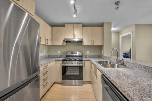 310-3156 Dayanee Springs Boulevard, Coquitlam, BC 