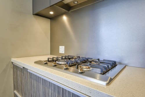 310-1616 Columbia Street, Vancouver, BC 