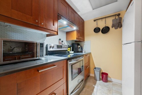 404-238 Alvin Narod Mews, Vancouver, BC 