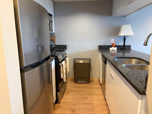 510-1060 Alberni Street, Vancouver, BC 