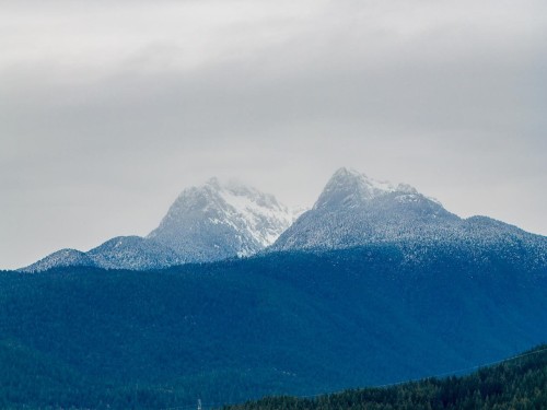 12041 256Th Street Street, Maple Ridge, BC 