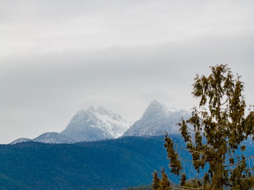 12041 256Th Street Street, Maple Ridge, BC 