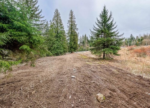 12041 256Th Street Street, Maple Ridge, BC 