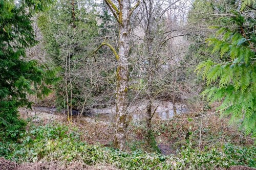 12041 256Th Street Street, Maple Ridge, BC 