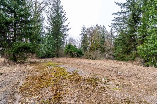 12041 256Th Street Street, Maple Ridge, BC 