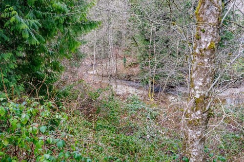 12041 256Th Street Street, Maple Ridge, BC 