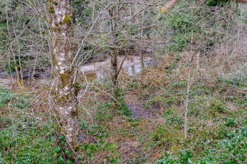 12041 256Th Street Street, Maple Ridge, BC 