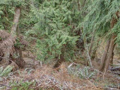 28-1413 Sunshine Coast Highway, Gibsons, BC 