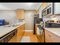 309-928 Homer Street  Vancouver, BC V6B 1T7
