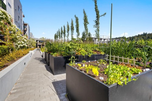 607-55 Klahanie Drive, Port Moody, BC 