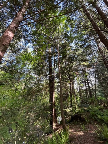 9063 Paradise Valley Road, Squamish, BC 