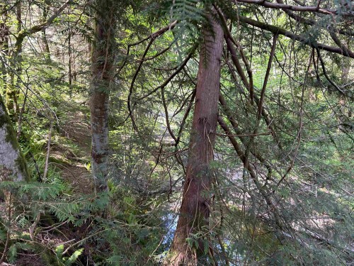 9063 Paradise Valley Road, Squamish, BC 