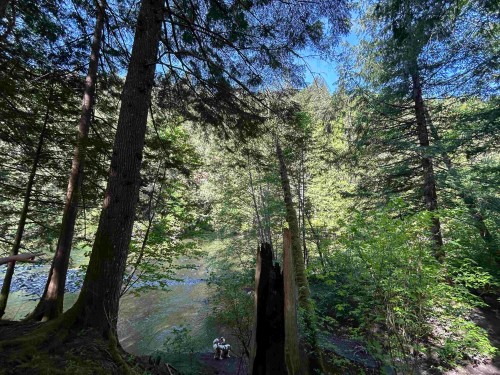 9063 Paradise Valley Road, Squamish, BC 