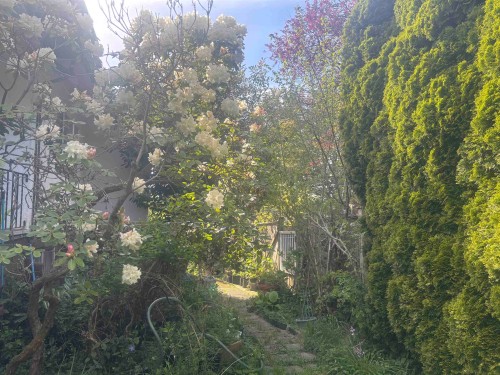 3707 Arbutus Street, Vancouver, BC 