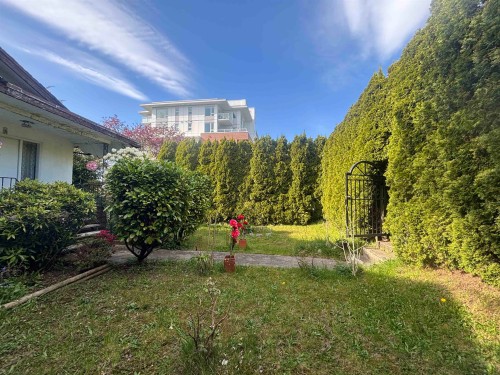 3707 Arbutus Street, Vancouver, BC 