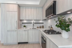 206-3264 Vanness Avenue  Vancouver, BC V5R 0L5