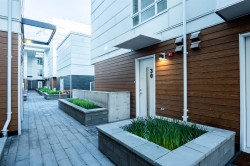 30-10333 River Drive  Richmond, BC V6X 0X4