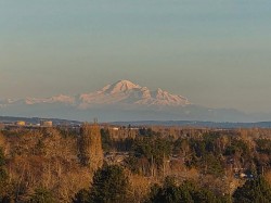 1506-6611 Cooney Road  Richmond, BC V6Y 4C5