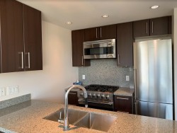 108 1 Avenue W Vancouver, BC V5Y 0H4