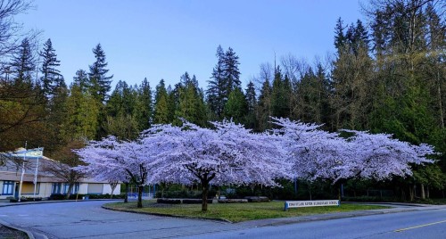 1904 Lodge Place, Coquitlam, BC 