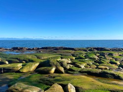 Lot 2 Bodega Beach Drive  Galiano Island, BC V0N 1P0