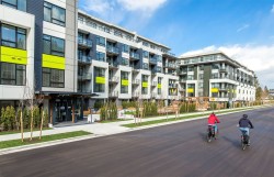 213-3018 St George Street  Port Moody, BC V3H 0L4