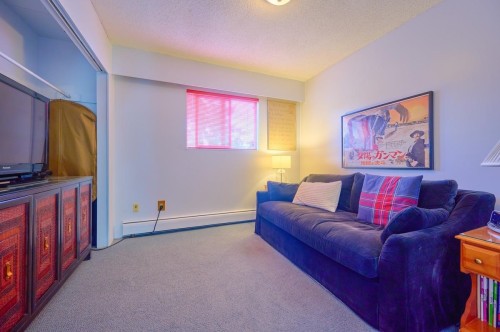 4228 Craigflower Drive, Richmond, BC 