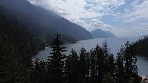 Lot 4 Williams Landing, Pitt Meadows, BC 