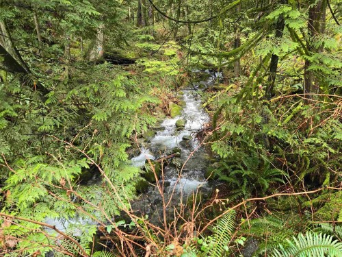 Lot 4 Williams Landing, Pitt Meadows, BC 