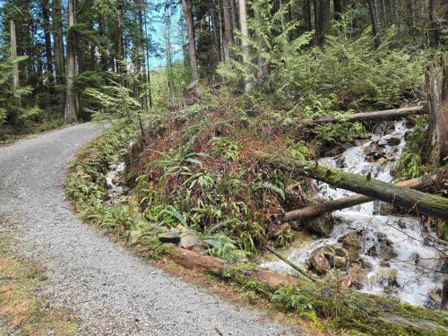 Lot 4 Williams Landing, Pitt Meadows, BC 