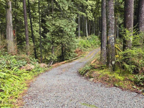 Lot 4 Williams Landing, Pitt Meadows, BC 
