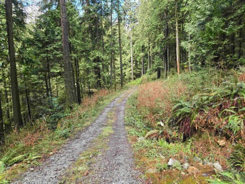 Lot 4 Williams Landing, Pitt Meadows, BC 
