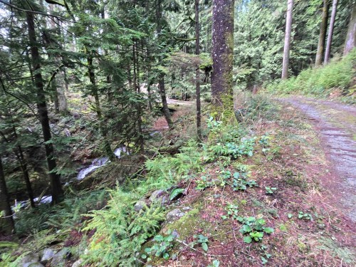 Lot 4 Williams Landing, Pitt Meadows, BC 