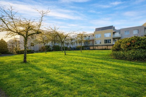 317-7800 St. Albans Road  Richmond, BC V6Y 3Y5