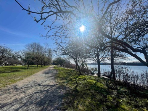 8208 Tugboat Place, Vancouver, BC 