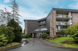 107-10631 No. 3 Road  Richmond, BC V7A 4L8